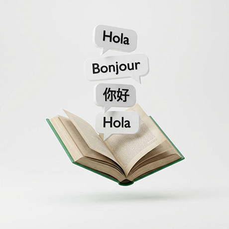 Asesoría 