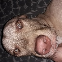 Foto de Jenny paola Naranjo patiño