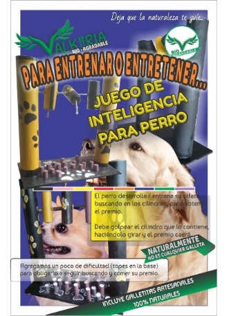 JUEGO DE INTELIGENCIA