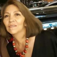 Diseñador(a) gráfico y publicidad web