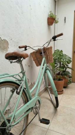 Hermosa Bicicleta Vintage
